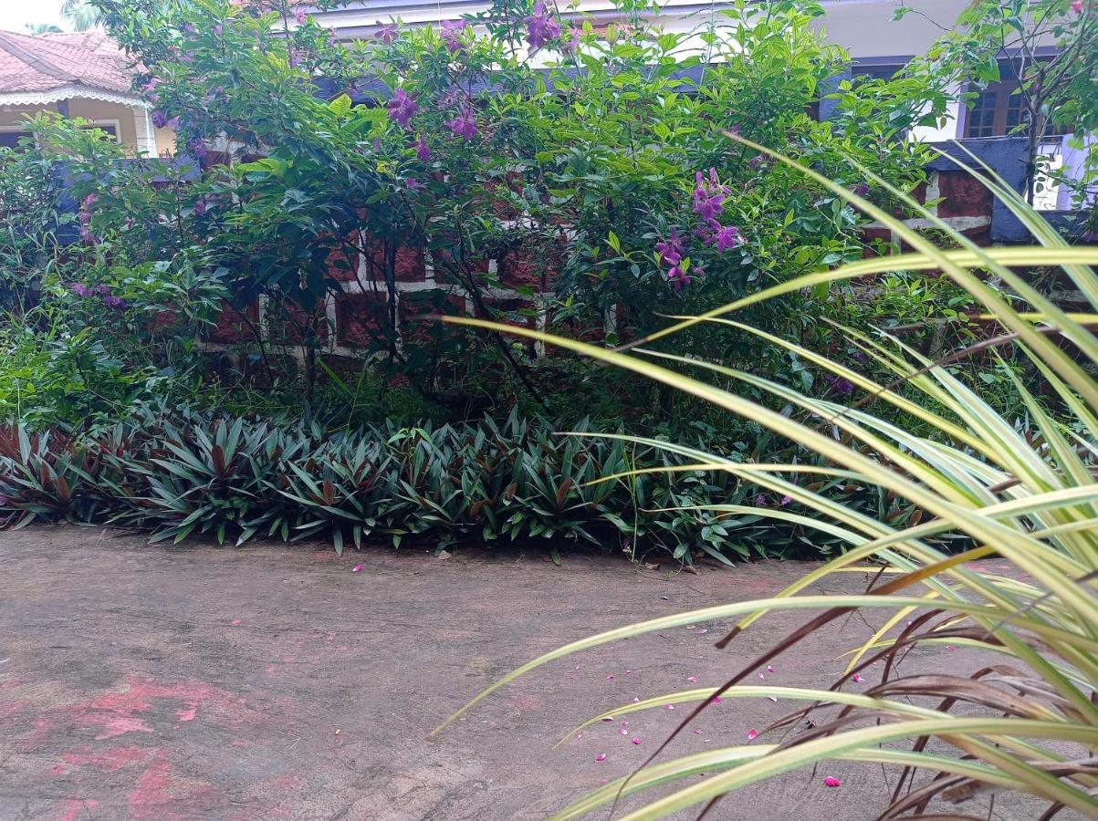 Lobo'S Guesthouse Cavelossim Bagian luar foto