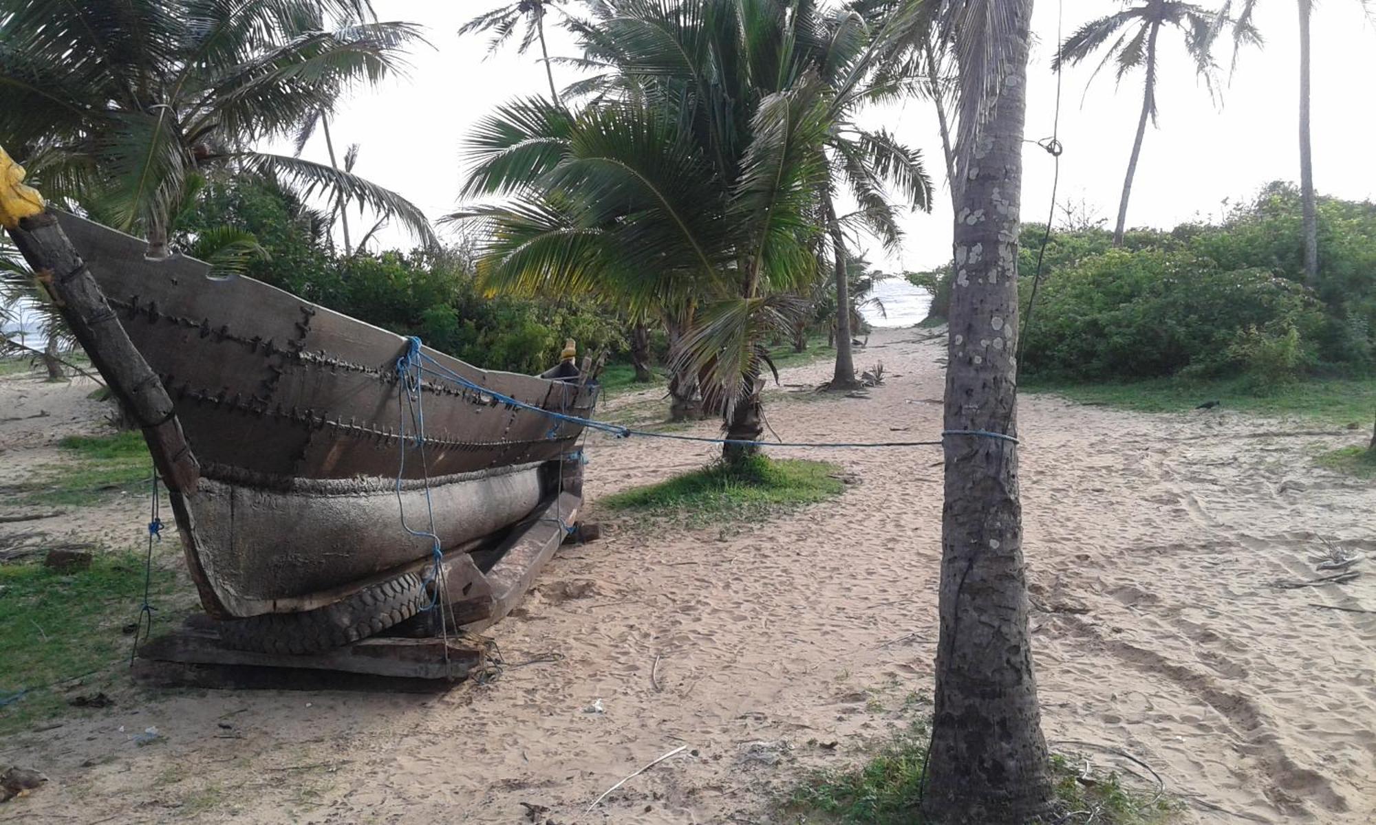 Lobo'S Guesthouse Cavelossim Bagian luar foto